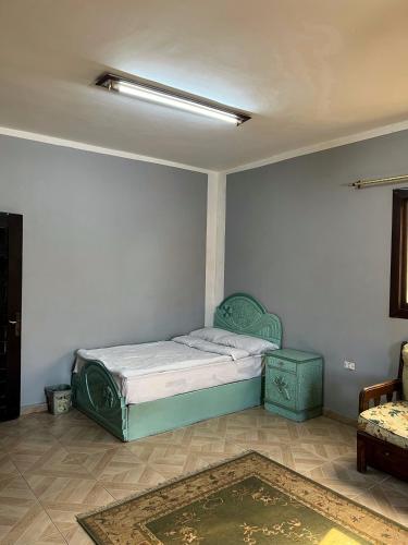 a bedroom with a bed in a room with a rug at Aoda pyramids in Cairo