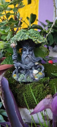 a statue of a man with a hat on top of moss at Nel giardino di Oz in Fornovo di Taro