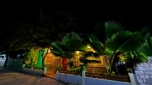 a group of palm trees in front of a fence at Saima Lodge in Himandhoo 