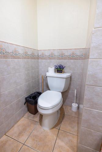 a bathroom with a white toilet and a trash can at Golden Dream Villas 306/A in Isabela