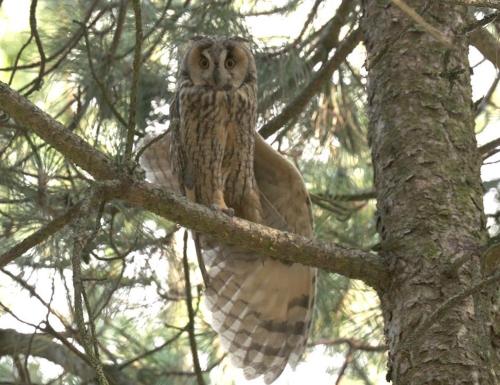Photo de la galerie de l'établissement La Rosellerie, à Montrieux-en-Sologne