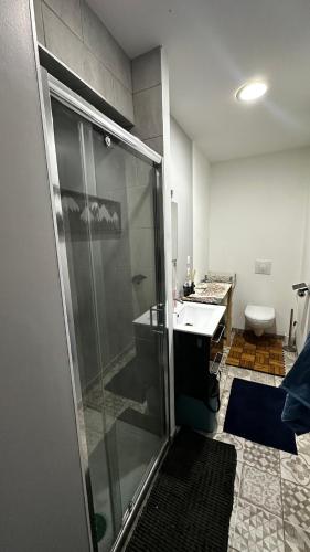 een badkamer met een douche en een wastafel bij Chez Marie en Savoie in La Ravoire