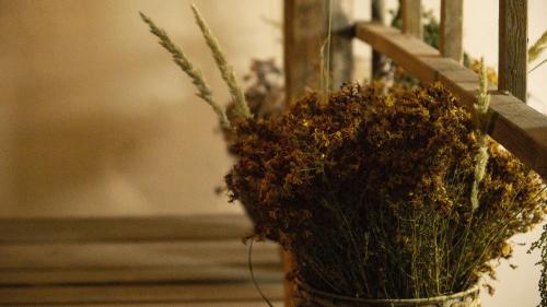 a vase filled with plants sitting next to a bench at Tiny Barn House in Chişinău
