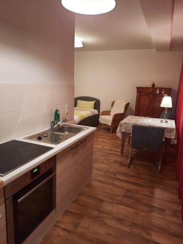 a kitchen with a sink and a living room at City Apartments Magdeburg in Magdeburg