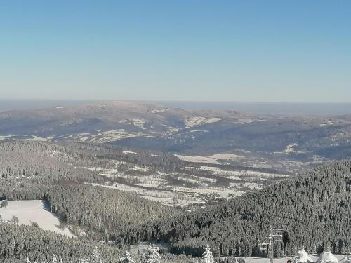 a view of a valley with trees and a mountain at StronSki Apartament in Stronie Śląskie