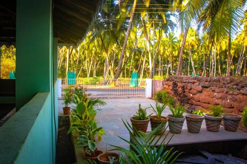 博格馬洛的住宿－The Bungalow Bogmalo An 1880 Indo Portuguese Heritage Beach Villa South Goa，坐在大楼长凳上的盆栽植物群