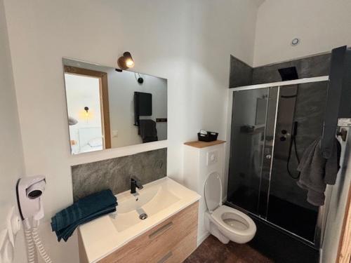 une salle de bain avec un lavabo, une douche et des toilettes dans l'établissement Duplex le Red Cedar avec terrasse et jardin, à Gérardmer