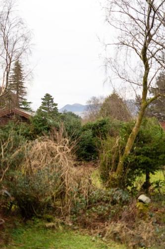 a grassy hill with trees and bushes in a field at Cozy Norwegian Style Log Cabin in Rural Snowdonia - 2 Bedrooms & Parking by Seren Short Stays in Ffestiniog