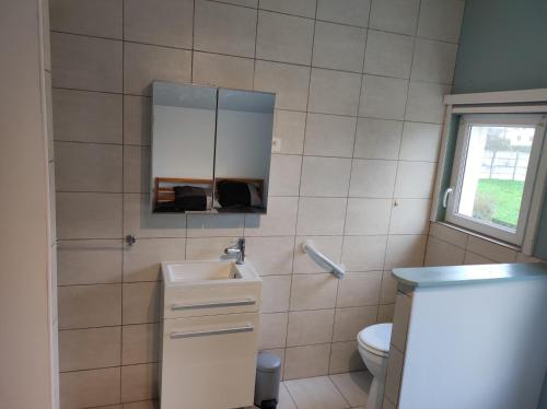 een badkamer met een wastafel, een spiegel en een toilet bij Passage d'Élise in Saint-Ségal