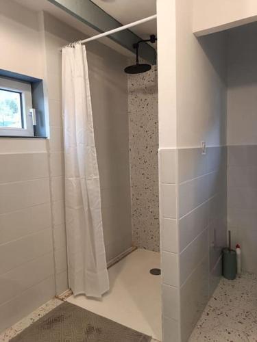 une salle de bain avec une douche avec un rideau de douche dans l'établissement Chalet au bord du lac, à Aydat