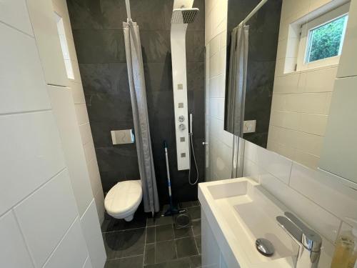 a bathroom with a toilet and a shower and a sink at nikos house; in Stockholm