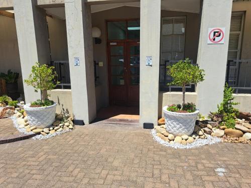 two potted trees in pots in front of a building at The Stetson in Paarl