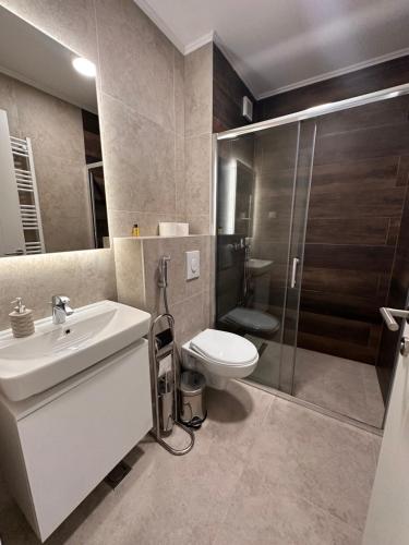 a bathroom with a toilet and a sink and a shower at Sarajevo Waves Apartment in Sarajevo