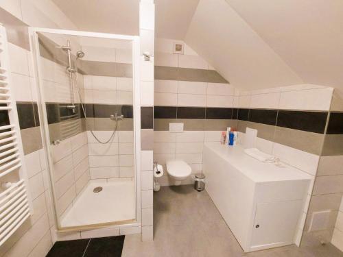 a bathroom with a shower and a toilet and a sink at Byt Komenskeho #1# v historickém centru Hradec Králově 60m2 in Hradec Králové