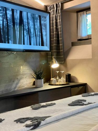 a bedroom with a bed with a large tv on the wall at La Rêverie de Thumel - Suite in Rhêmes-Notre-Dame