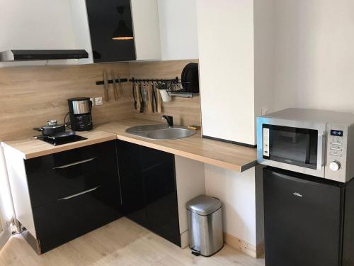 une cuisine avec un évier et un micro-ondes dans l'établissement Appartement à 30 m de la plage - lumineux - respirant - WIFI - Le Cérès 1, à Berck-sur-Mer
