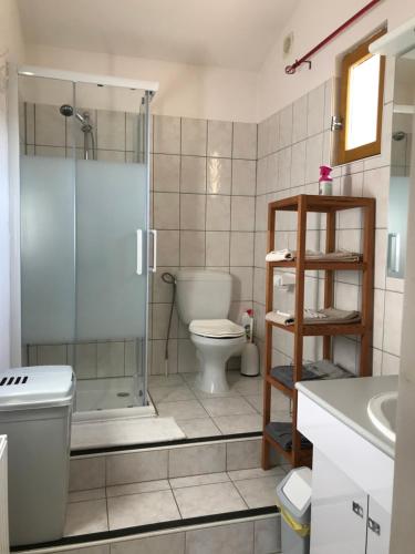 une salle de bain avec une douche, des toilettes et un lavabo dans l'établissement Charmant T2 2/4 Personnes, à Pernes-les-Fontaines