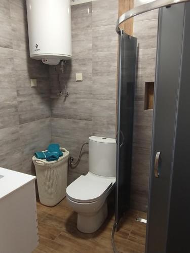 a small bathroom with a toilet and a shower at Domki u Magdaleny in Sztutowo