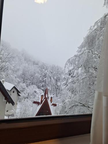 a view of a snowy mountain from a window at Apartman Breza - Vila Umine Vode in Zlatibor