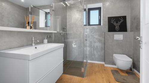La salle de bains est pourvue d'un lavabo, d'une douche et de toilettes. dans l'établissement Villa Senec, à Senec