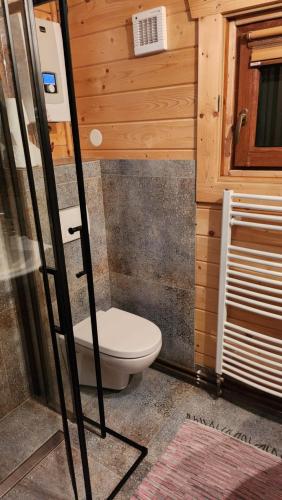 a small bathroom with a toilet in a house at Domek drewniany in Piekielnik