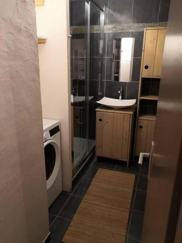 une salle de bain avec un lavabo et une machine à laver dans l'établissement Appart 4P face télécabine GME, à Samoëns