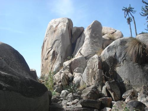 una pila de rocas con palmeras en el fondo en Qyani Country Side Stay, en Migori