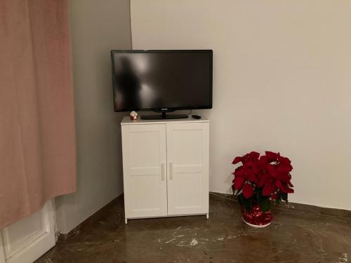 uma televisão em cima de um armário branco com um vaso de flores vermelhas em Casa Olimpia em Terni