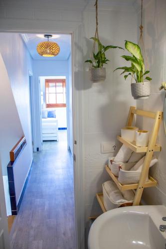 a bathroom with a sink and some plants on the wall at BRISAS VARADERO in Santa Pola