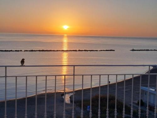 Phong cảnh thiên nhiên gần căn hộ