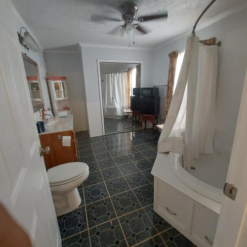 a bathroom with a toilet and a shower with a ceiling at Serenity Hill bed and Breakfast in Brownsville