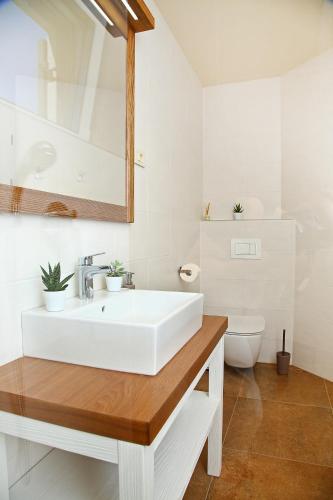 a white bathroom with a sink and a toilet at Luxury Villa Gradin in Gračišče