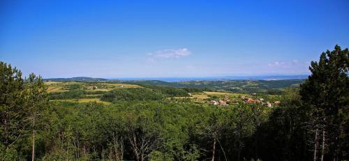a view of a valley with trees and houses at Luxury Villa Gradin in Gračišče