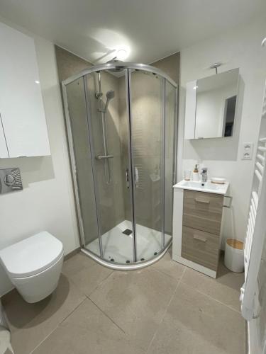une salle de bain avec une douche, des toilettes et un lavabo dans l'établissement Villa SOANNE, à Bagnols-en-Forêt