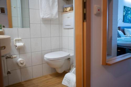 a small bathroom with a toilet and a mirror at Bavarian Escape Ferienwohnung mit Pool in Sankt Englmar