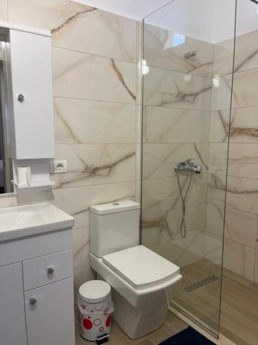 W łazience znajduje się toaleta i przeszklony prysznic. w obiekcie Vila C++ w mieście Berat