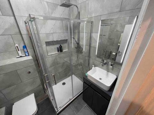 a bathroom with a shower and a toilet and a sink at 2 Bed Apartment in Central London on 3rd floor - Newly refurbished - No lift in London