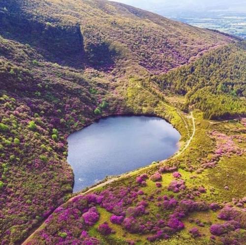an aerial view of a lake on a hill at Kozy Kabin in Waterford