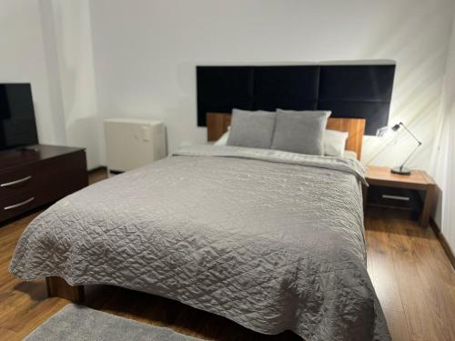 1 dormitorio con 1 cama y escritorio con TV en Sudety Resort Dom z widokiem na Góry, en Szczytna