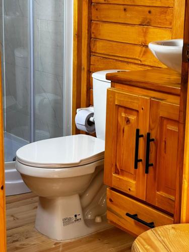 a bathroom with a toilet and a sink and a shower at Glamping Shalom in Choachí
