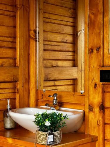 a bathroom with a white sink in a wooden wall at Glamping Shalom in Choachí