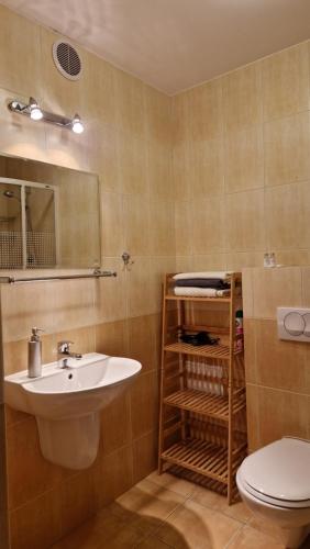 La salle de bains est pourvue d'un lavabo et de toilettes. dans l'établissement Apartament Gwiazda 306, à Krynica-Zdrój