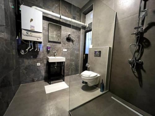 a bathroom with a toilet and a sink and a shower at ComeLiveGO Cihangir 12 in Istanbul