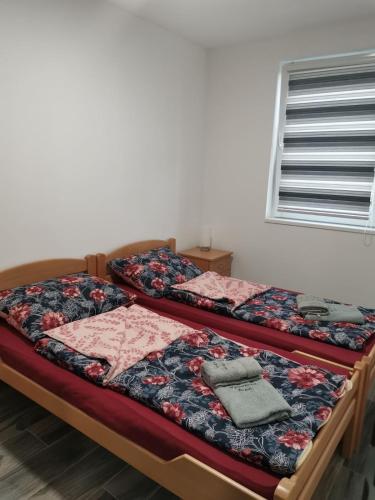two twin beds in a room with a window at Apartman Repac in Ostrovo