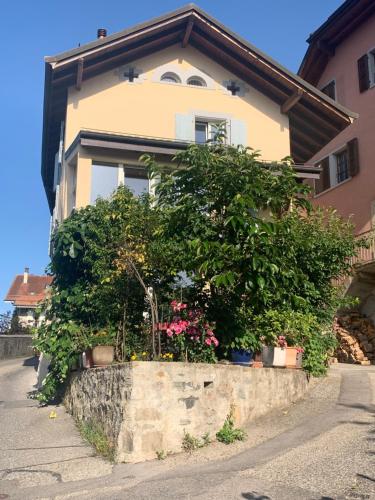 a house with plants in front of it at Tournicolette - 52 m2 charme fou in Chardonne