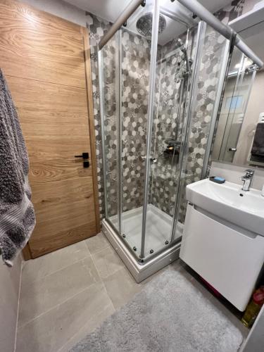 een badkamer met een douche, een toilet en een wastafel bij Kuća za odmor ALTEA Pridolci in Busovača
