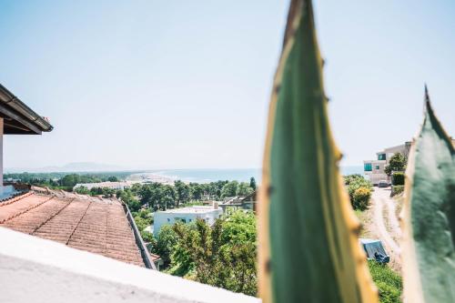 Gallery image of Bivalvia Apartments in Ulcinj