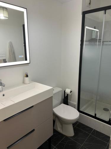 une salle de bain avec toilettes, lavabo et douche dans l'établissement Appartement Longjumeau, à Longjumeau