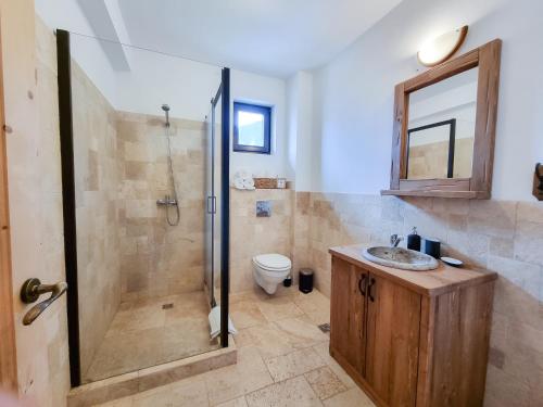 a bathroom with a shower and a sink and a toilet at Pensiunea Hodăița in Măgura