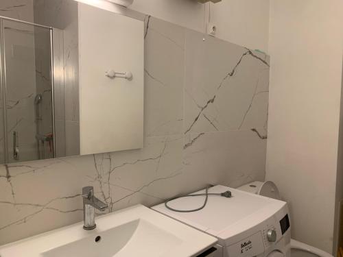 une salle de bain avec un lavabo et un miroir et des toilettes dans l'établissement 7 Boulevard des Côtes, à Aix-les-Bains